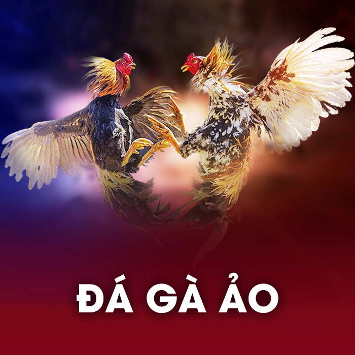 Đá Gà Ảo