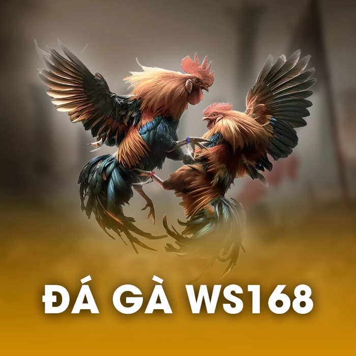 Đá Gà WS168
